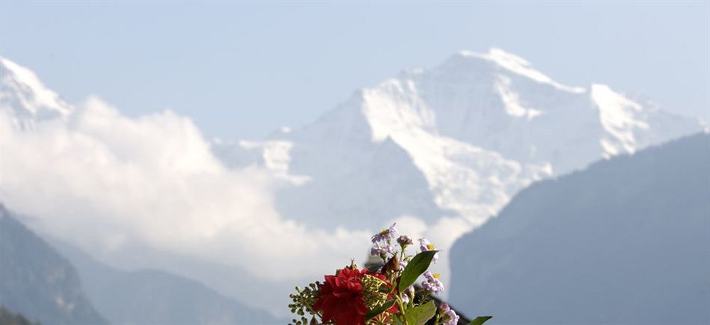 Hotel Beausite Unterseen Kültér fotó